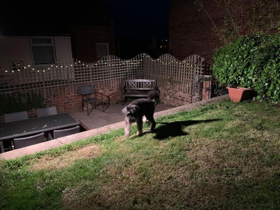 Award Winning Pet Friendly Paddock Cottage Whitby Dış mekan fotoğraf