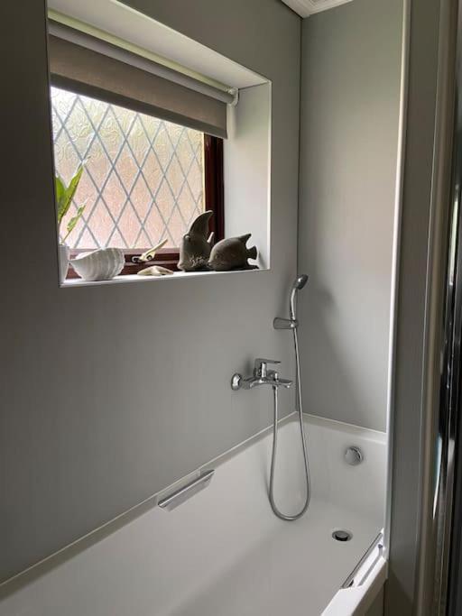 Award Winning Pet Friendly Paddock Cottage Whitby Dış mekan fotoğraf