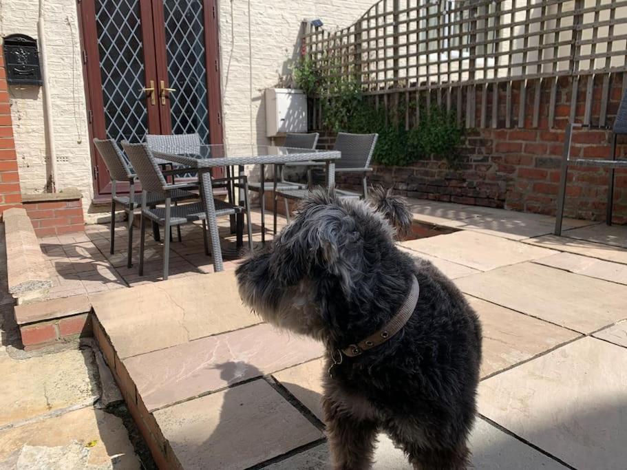 Award Winning Pet Friendly Paddock Cottage Whitby Dış mekan fotoğraf